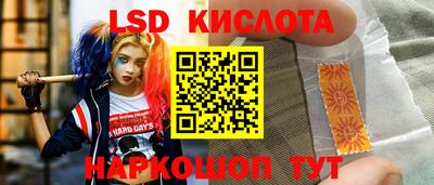 гашик Берёзовский
