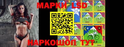 гашик Берёзовский