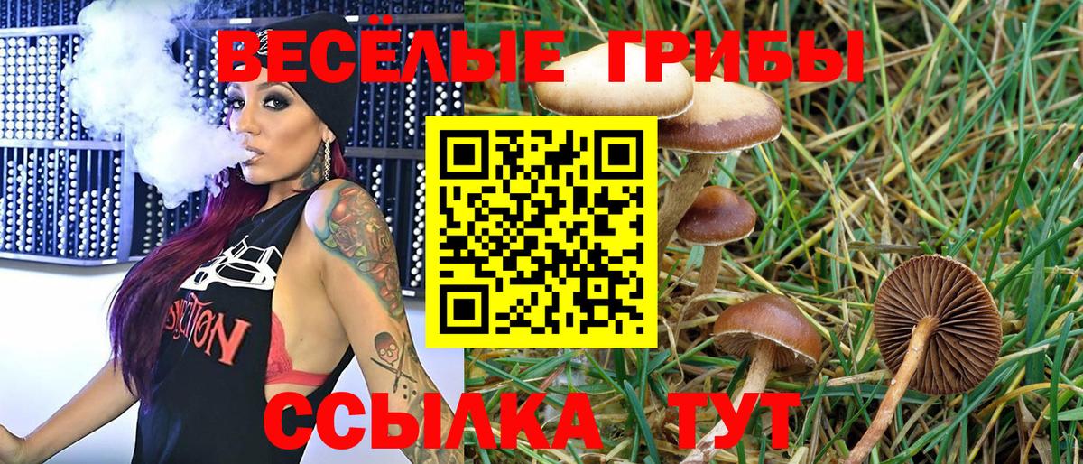 что такое   Галлюциногенные грибы GOLDEN TEACHER  Вход с VPN  Когалым 